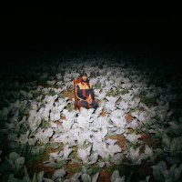 KingDigg (@protoje) 's Twitter Profile