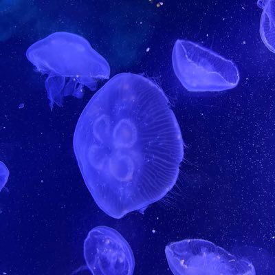 SkyVibes06's profile picture. me