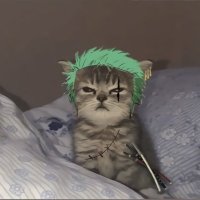 Aylu (@aylengerez_) 's Twitter Profile