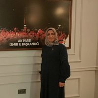 Ayten Ertem (@aytenertem3) 's Twitter Profile