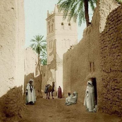 RackanCamel's profile picture. ومن يتهيب صعود الجبال ... يعش ابد الدهر بين الحفر