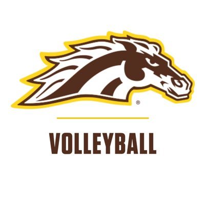 WMUVolleyball Profile Picture