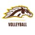 WMU Volleyball (@wmuvolleyball) Twitter profile photo WMU Volleyball (@wmuvolleyball) Twitter profile photo