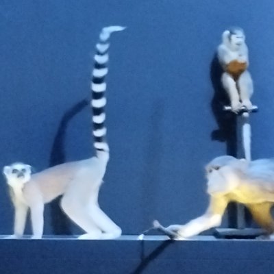 Frank6531's profile picture. 