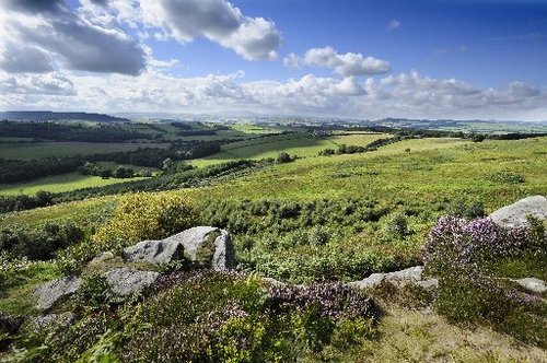 NewsRothbury's profile picture. 