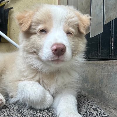 wisles29's profile picture. 