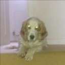 Tim Sears - @TimSears5 - Twitter