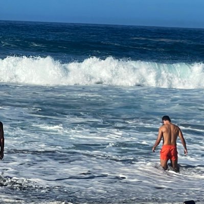 JulesHarperr's profile picture. 