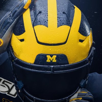 I bleed maize and blue. Wolverine fan for life. With God and the Michigan Wolverines, all things are possible.