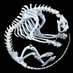 Palaeo is a tiger raised by wolves (@Palaeosinensis) Twitter profile photo