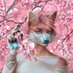 Amaya Gfx (@amayagfx02) Twitter profile photo Amaya Gfx (@amayagfx02) Twitter profile photo