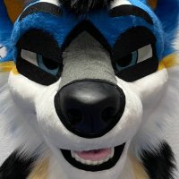 Caution: Jackal in heat! (@nexyad) 's Twitter Profile