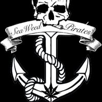 Seaweed Pirates (@seaweedpirates) 's Twitter Profile