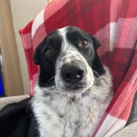 Nellie (Helen) Munro (@munro_nell) 's Twitter Profile Photo Nellie (Helen) Munro (@munro_nell) 's Twitter Profile Photo