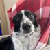 Nellie (Helen) Munro (@munro_nell) Twitter profile photo Nellie (Helen) Munro (@munro_nell) Twitter profile photo
