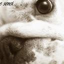 Elena Berra - @ElenaBerra1 - Twitter