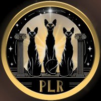 Pillars(@PiLLARS_PLR) 's Twitter Profile Photo