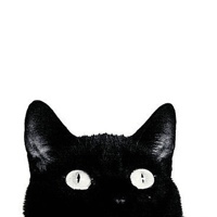 uuweibo's profile picture. Hey