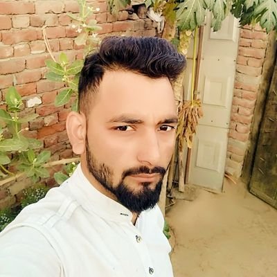 Scheerpost58913's profile picture. Small #NFTartist | Small #nftcollectors | Own #HugArtNFT | my #PFP are fan Art on @opensea