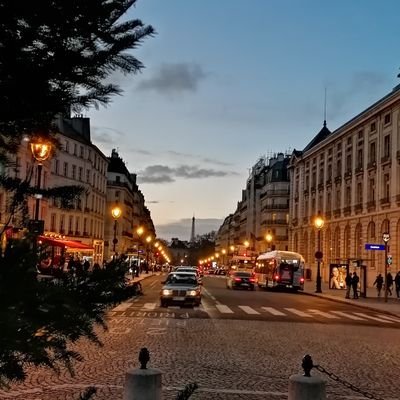 Hanson382462's profile picture. #bullish