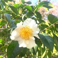 Maestra Wilhite (@vicky_wilhite) 's Twitter Profile Photo Maestra Wilhite (@vicky_wilhite) 's Twitter Profile Photo