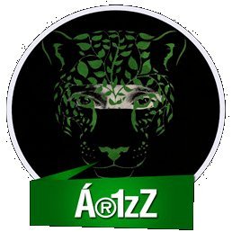 Ar1zZ17 Profile Picture