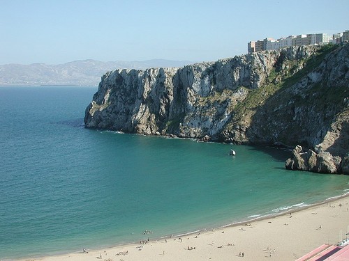 LabibFahmy's profile picture. Journaliste