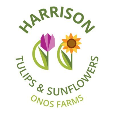 BC's premier flower farm in Harrison River Valley! Open from April 8 to May 5, 2024. 🌷