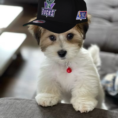 ivan_bucks's profile picture. 