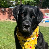 Just Georgee 2020 (@2020georgee) 's Twitter Profile