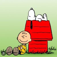 M (@manuell95798761) 's Twitter Profile