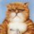 ishidapriv's profile image
