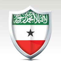 Somaliland 🦅⚔️(@Cyrpto_Somali) 's Twitter Profile Photo