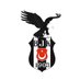 Beşiktaş 1903 Scout Transferleri (@Bjk1903_Scout) Twitter profile photo