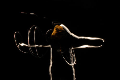 aLexDienko's profile picture. Totalement hors du Game, je suis ici pour mon flux Rss perso