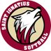 Saint Ignatius Softball (@siwolfpacksfbl) Twitter profile photo Saint Ignatius Softball (@siwolfpacksfbl) Twitter profile photo
