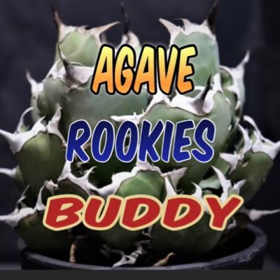 ［ Agave Rookies Buddy ］サークル公式アカウント🪴 ⚪︎お問い合わせは管理人にどうぞ‼︎ ⇨ @AgaveCamp