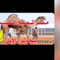 شمخ النيب (@s305hb) 's Twitter Profile