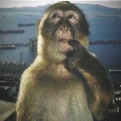 LilMan42069's profile picture. year of piss #GoBlue〽️ #OnePride