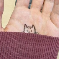 maeve ~ (@miaaowing) 's Twitter Profile