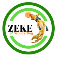 Zeke 🥏 the Wonderdog🐕(@MSUZeke) 's Twitter Profile Photo