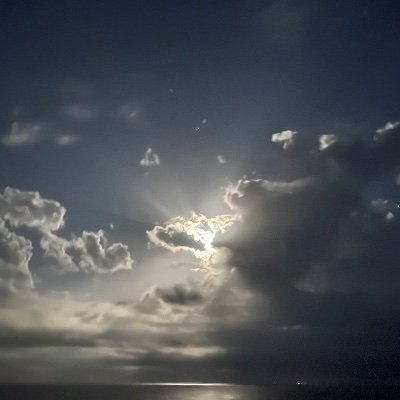 Deep919258921's profile picture. I made him suck where i pee at , He wanna kno where i be at