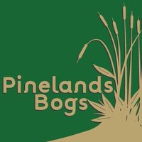 PinelandsBOGS(@ArdoinJim) 's Twitter Profile Photo