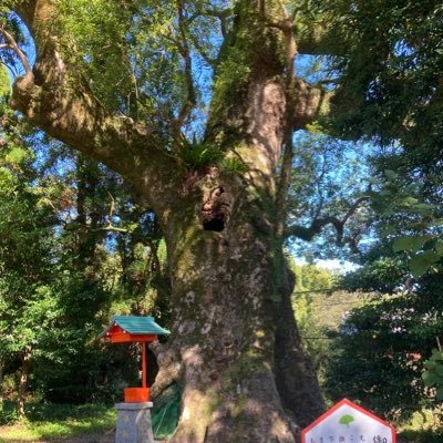 ochiaikoji1989's profile picture. 宮崎の回復期作業療法士４年目
都城ブロック支部会員
2023年宮崎県作業療法士会運営委員

 3Dプリンターを使って自助具作成を行っています。