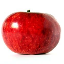 OrganicFoodPlus's profile picture. We provide the best tips about all organic foods and products that are available.
Mission:
To help you gain knowledge and ideas about organic health