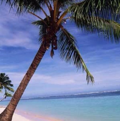 InsureFLNow's profile picture. Insurance Quotes! Anywhere in Florida!
Auto - Life - Home - Condo - Flood - Business - Cancer - Motorcycle - Boat - Accident/Hospital - Jet Ski - Renter's