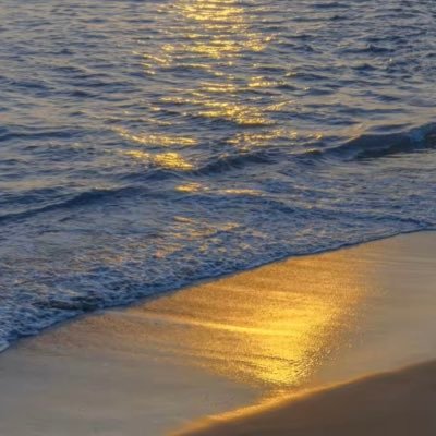 haileyzhong2023's profile picture. 