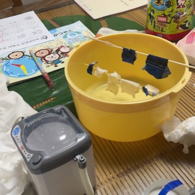 私の子供みんな不登校だけど、みんな元気。好きな事を思う存分して生きる。勉強はやりたいようにやる。今日やりたい事を自分で考えて実行する。人生幸せかどうかが一番大事。いいことあったなって思う1日にする。最近はとにかく子供の病院と習い事の送り迎えと、仕事