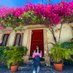 Alejandra Giraldo Barrera (@ale_giraldo) Twitter profile photo Alejandra Giraldo Barrera (@ale_giraldo) Twitter profile photo