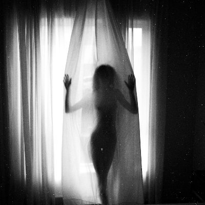 Mark_Shaar's profile picture. I take photos